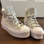 Converse Polka Dot High Top Photo 1