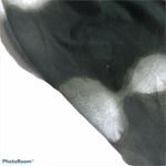 Mod Boutique tie dye romper Photo 11