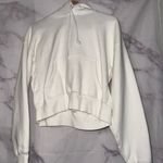 Aritzia Cozy Fleece Boyfriend Fit Hoodie Photo 0