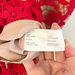 Jarlo London Red Lace Halter Neck Mermaid Flare Long Maxi Dress UK 12/US 8 Photo 5