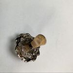 Vintage Mazer clip on earrings with textured center stone jeweled leaf border Silver Photo 6