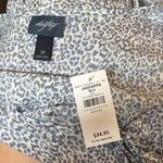 Daytrip v-neck short sleeve tiered blue print mini dress | medium Photo 5