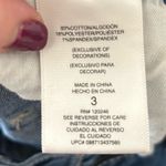 Wall Flower  Shorts Denim Photo 2