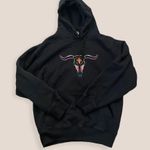 Head Kings Sportswear heavyweight Black Rainbow Embroidered Bulls Western Hoodie Photo 0