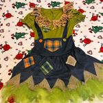 Spirit Sweet Scarecrow Costume Photo 2