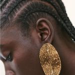 ZARA ❗️NWT  Elegant Brown/Gold Beaded Earrings Photo 4