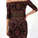 Tadashi Shoji Winona Amber Lace Mesh Illusion Off Shoulder Dress Size 6 Photo 4