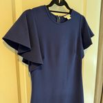 Shoshanna  Women's Dade Circular Cap Sleeve Scalloped Shift Dress | Size 4 Photo 3