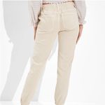 American Eagle Beige Drawstring Jogger Pants SZ:16 Photo 1