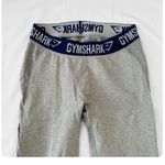 Gymshark β
Flex Leggings - Light Gray Earl/Indigo β
Photo 13