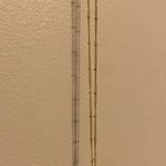 gold “S” necklace Photo 0