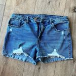 Wild Fable  denim and crochet jean shorts Photo 0
