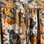 Hayden  Los Angeles Top Photo 2