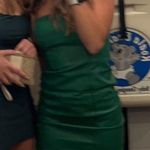 Princess Polly Dress Photo 1