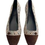Sarah Flint Sacchetto Ballet Flat plaid polka dot suede top sz 38 Brown Photo 0