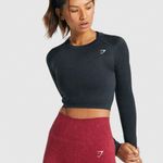 Gymshark Adapt Seamless Long Sleeve Photo 0