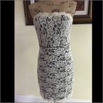 Diane Von Furstenberg  Lace Dress Photo 3