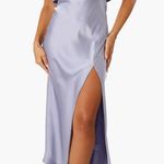 Petal and Pup  Midi Strapless Dress Photo 2