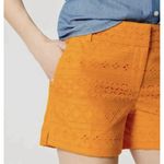 Ann Taylor  LOFT Riviera Shorts SIZE 0 Gold Eyelet 4" Inseam Flat Chino NEW Photo 2