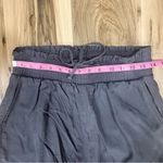 Abercrombie & Fitch Gray Cargo Joggers Photo 6