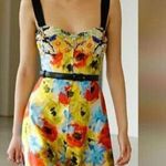 Oscar de la Renta New! $3970 Runway! Sweetheart Zip Front Dress Sz 4 Photo 2