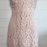 Lulus  Sweet Blossom Blush Pink‎ Lace Floral Dress Size 10 Photo 0