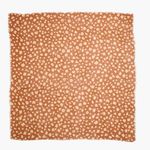 Madewell NEW  Brushed Leopard Scarf,‎ color: warm coffee Photo 1