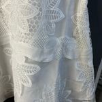 Endless Rose White Lace Sleeveless Dress Photo 6