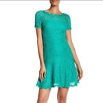 Diane Von Furstenberg  Green Fifi Lace Dress Photo 8