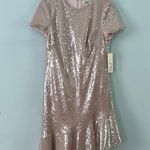 Eliza J NWT  Sequin Neutral Blush Ruffled A-Line Asymmetric Ruffle Hem Dress Photo 2