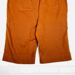 Madewell Emmett Wide-Leg Crop Pants Burnt Sienna, Size 37 Style J8985 Photo 8