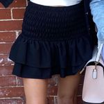 ZARA Skirt Photo 0