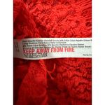 Free People  Floral Lace Eyelash Crop Tank Top Red XS Romantic Feminine Boho Photo 3