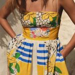 ZARA  Fruit Poplin Dress Photo 1