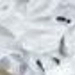 BERKLEY JENSEN Women’s AMERICANA One Piece SWIMSUIT NWT Red Size L Photo 0