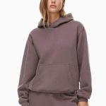 Aritzia Cozy Fleece Hoodie Photo 0