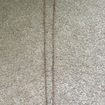 Francesca's Necklace Photo 2