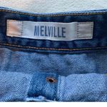 Brandy Melville Denim Button Up Skirt Photo 5