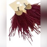 EXPRESS Feather and Rhinestone Dangle Earrings New with Tags Photo 2