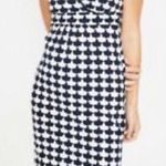 Boden USA Boden Navy & White Dress Women’s 8 Petite Photo 0