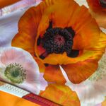 Aerie  Floral Cheeky Side Tie Bikini Photo 3