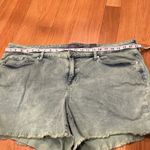 Torrid NWT  women’s acid jade jean shorts size 22. Photo 4