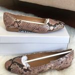 Steve Madden NEW Danni Flat Snake Print 8.5M Photo 2