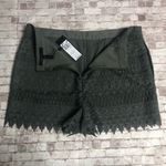BCBGMAXAZRIA NWT Sage Green Lace Shorts Photo 4