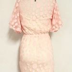 Lace Flutter Boho Sheer Dress Photo 5