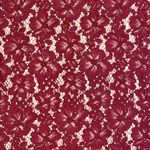 Carolina belle  floral lace blouse size large Photo 1