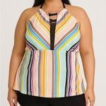 Terra & Sky  Multicolor Striped Swim Top Photo 0