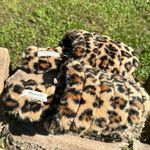 Madewell NWOT  The Scuff Slipper Leopard Faux Fur 6 M Photo 6