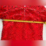 Boden pigeon and heart lace dress US size 4R ruffle sleeves holiday red Photo 2