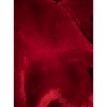 Charter Club Brand New  Women's Size XS Fire Brick Super Soft Plush Teddy Robe Photo 6